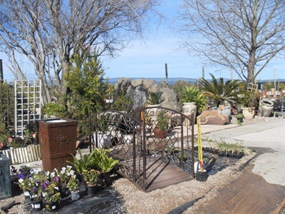 Entertainment and fun at Outeniqua Spring Festival